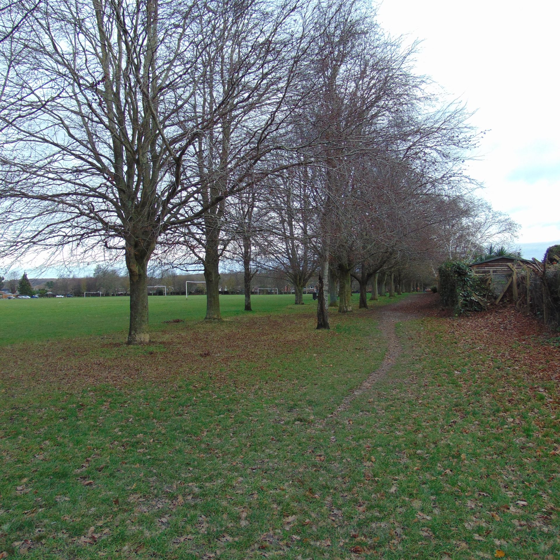 Tree's lining the edge of a green park with a mud pathway